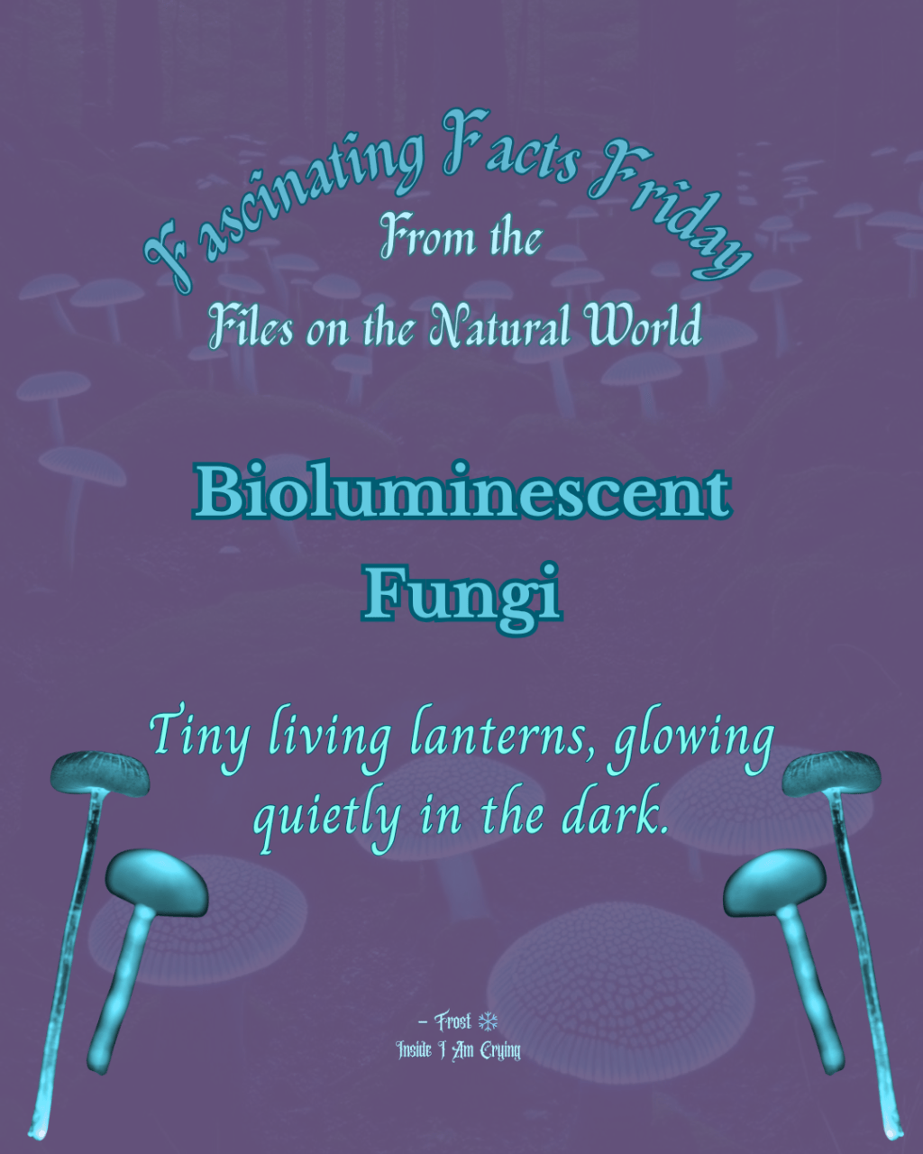 Bioluminescent Fungi