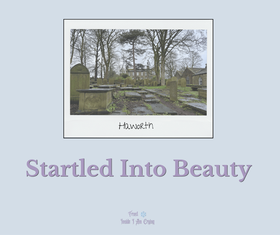Startled Into Beauty
