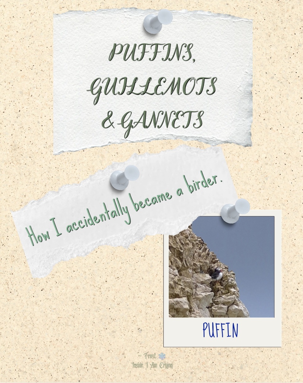 Puffins, Guillemots &&nbsp;Gannets