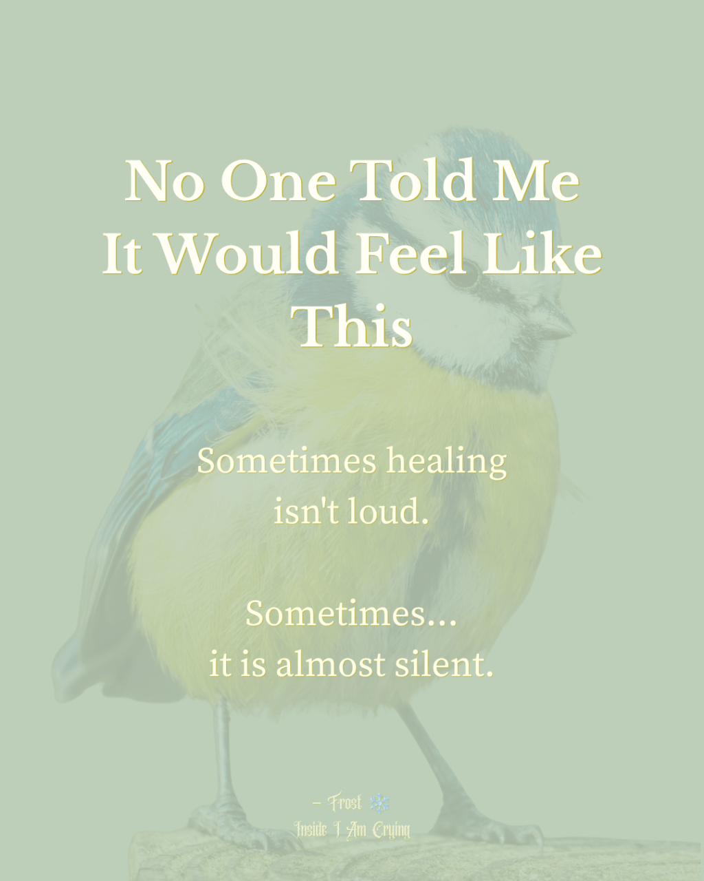 No One Told Me It Would Feel Like&nbsp;This