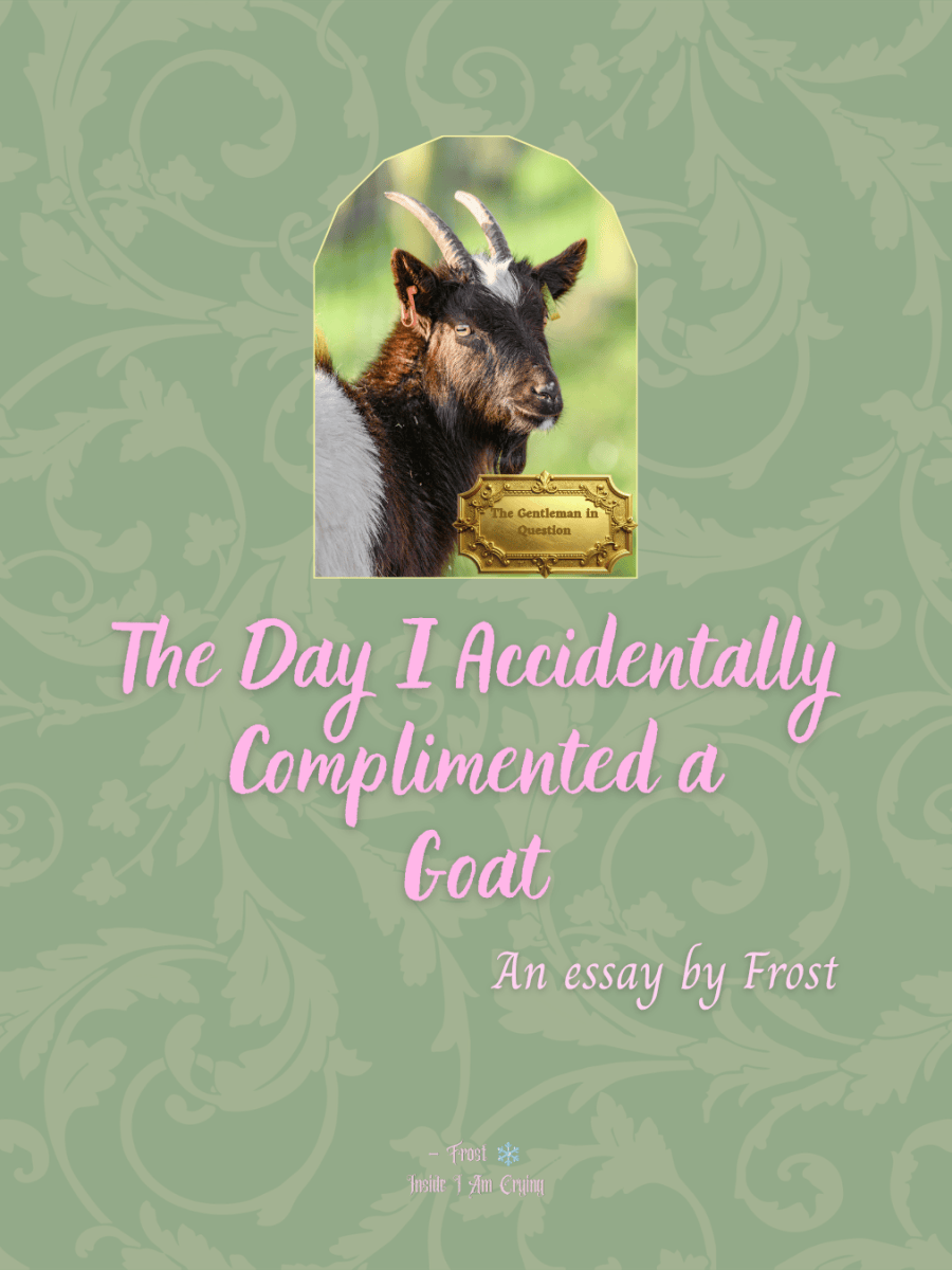 The Day I Accidentally Complimented a&nbsp;Goat