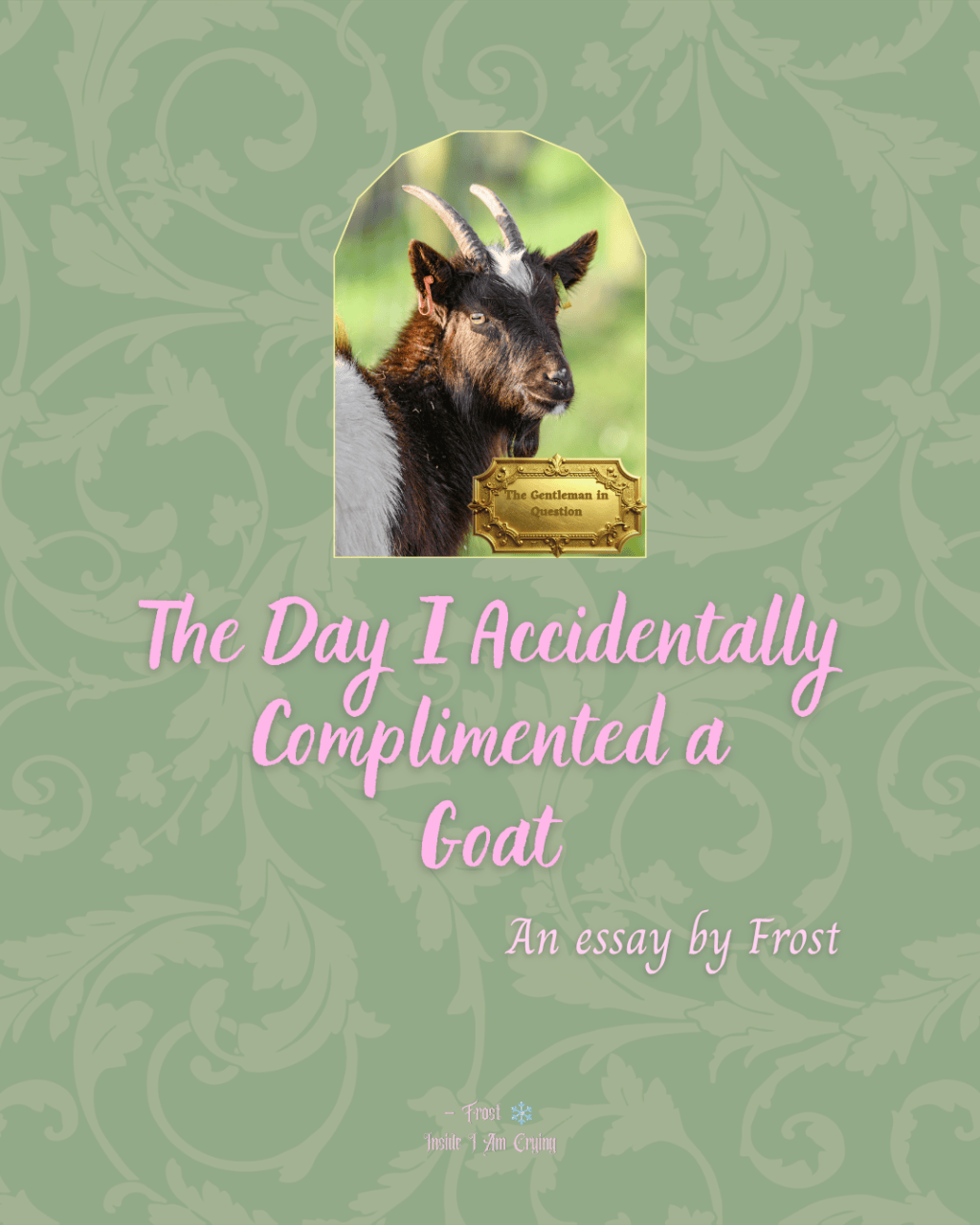 The Day I Accidentally Complimented a&nbsp;Goat